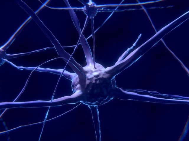 nerve-cells-2213009_1280